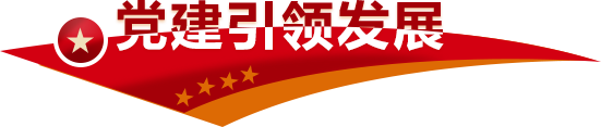 黨建引領發(fā)展